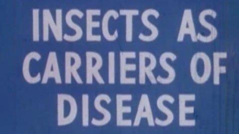 Health For The Americas: Insects As Carriers of Disease (1945)